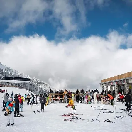 Villa Krina Rosa Aigio