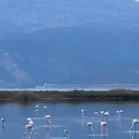 Krina Rosa Aigio * Eliki