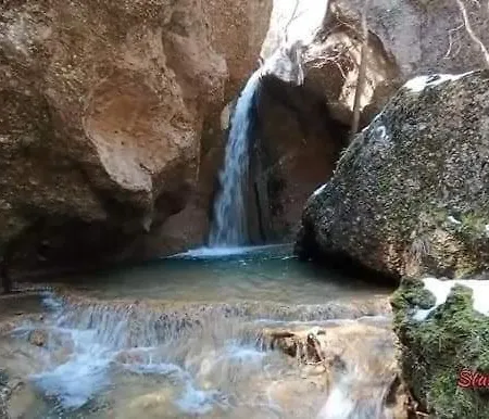 Krina Rosa Aigio Willa *