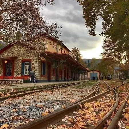 Krina Rosa Aigio Eliki