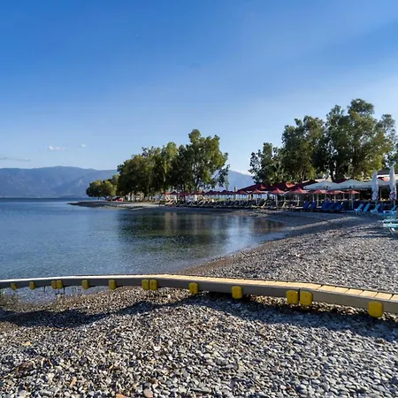 Krina Rosa Aigio Eliki