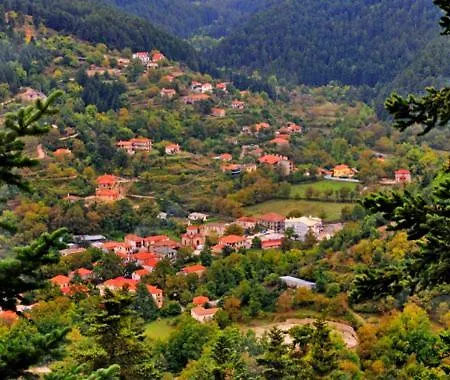 Krina Rosa Aigio Willa *