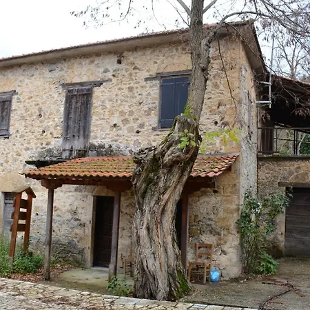 Krina Rosa Aigio *