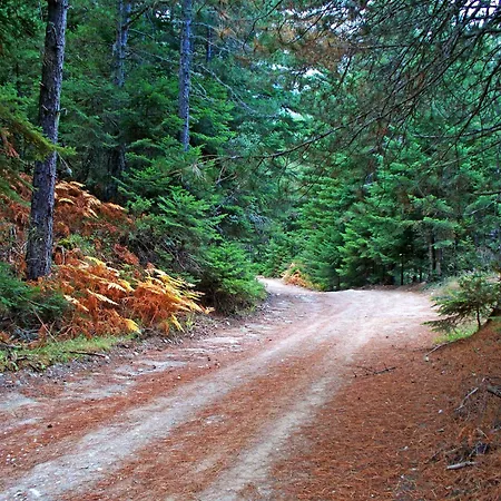 Villa Krina Rosa Aigio *