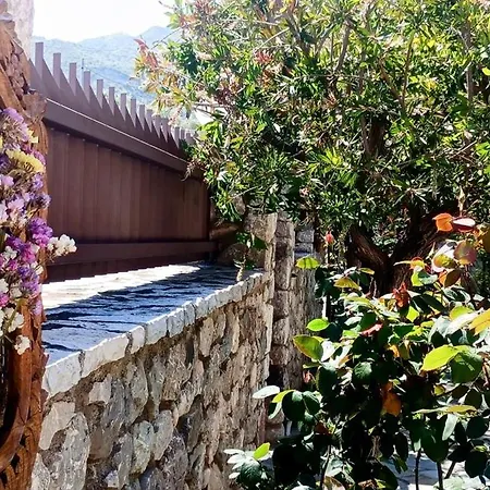 Krina Rosa Aigio Eliki