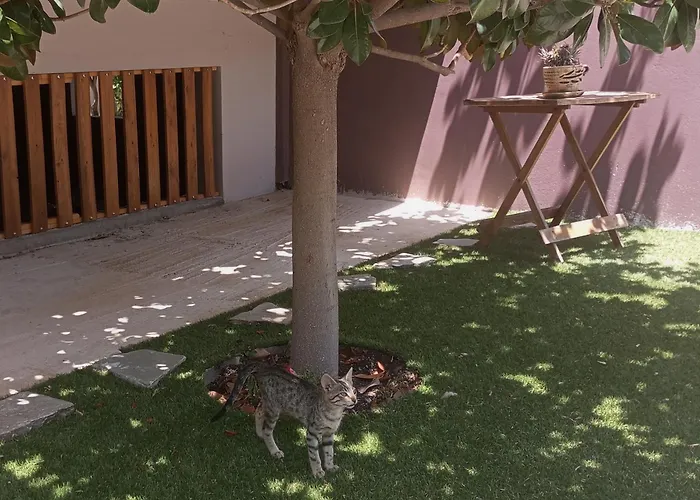 Krina Rosa Aigio Villa Eliki