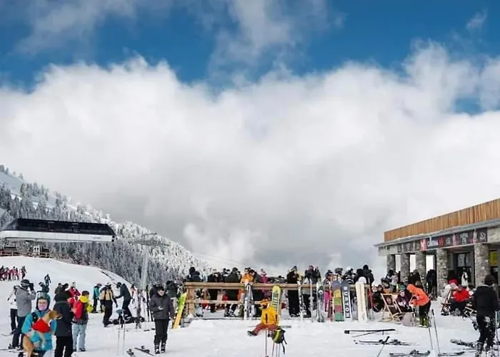 Villa Krina Rosa Aigio