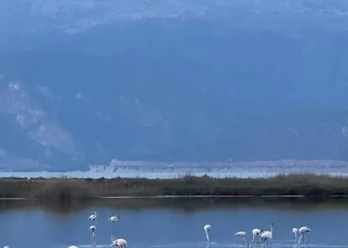 Krina Rosa Aigio * Eliki