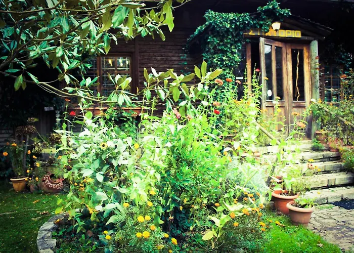 Krina Rosa Aigio Eliki