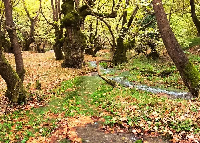 Krina Rosa Aigio * Eliki