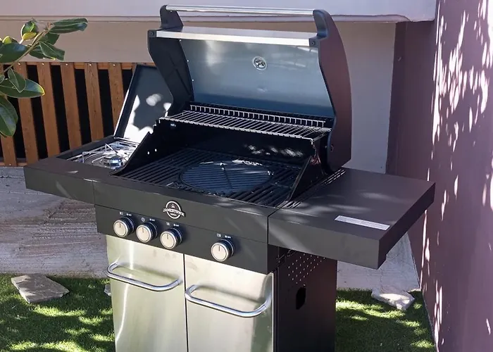 Krina Rosa Aigio Vila *