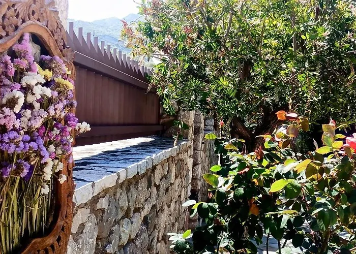 Krina Rosa Aigio Eliki